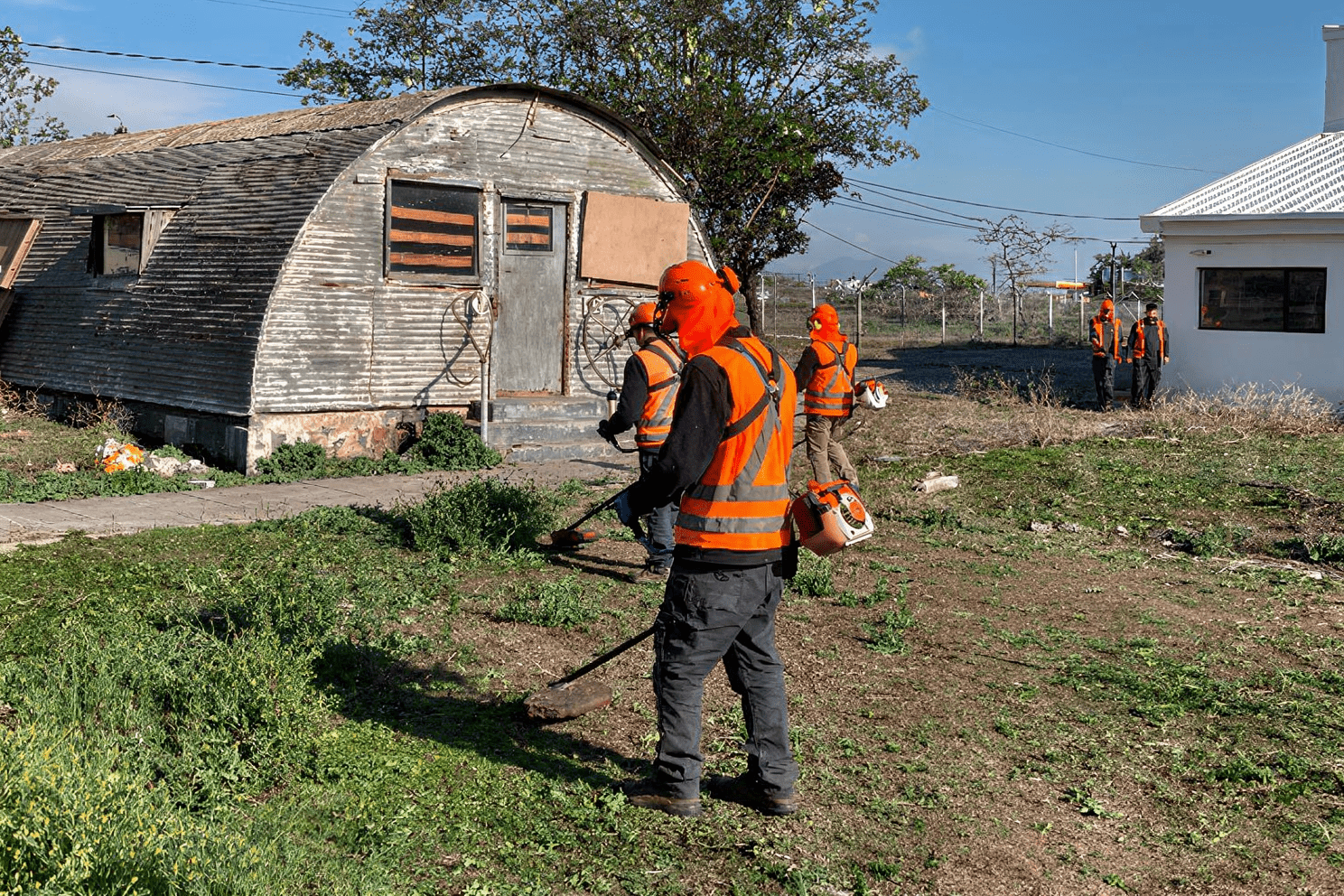 000 desmalezado cuadrilla